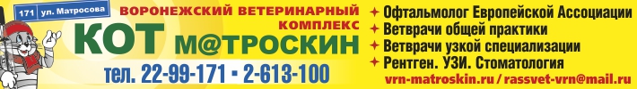 КОТ М@ТРОСКИН на сайте awega.ru Издательство АВЕГА 2016