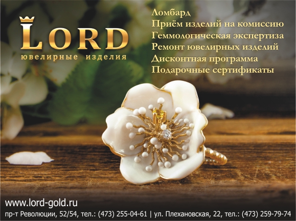 Макет ЛОРД из Справочника служебных телефонов Воронежа. Издательство АВЕГА 2020-2021